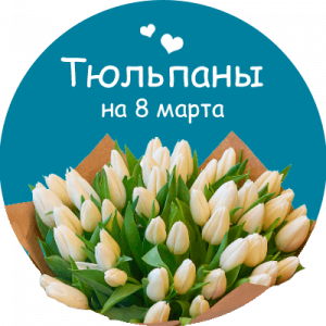 Купить тюльпаны в Бабушкине